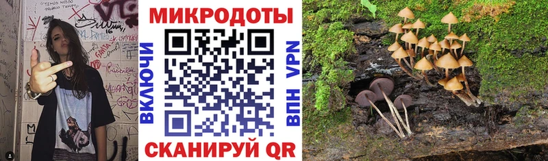 как найти закладки  кракен онион  Псилоцибиновые грибы Psilocybine cubensis  Новоалександровск 